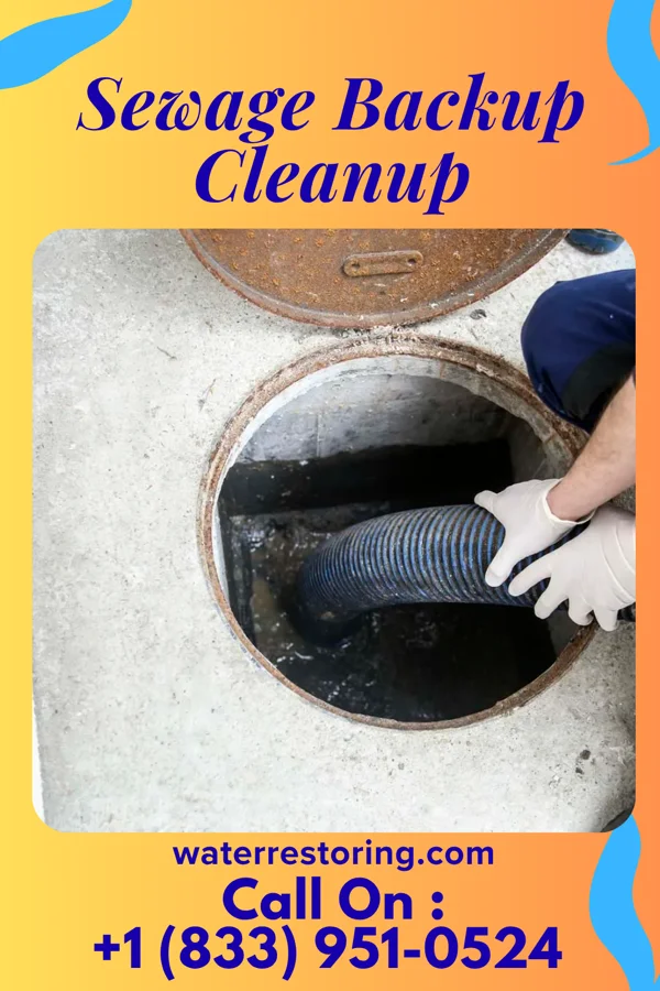 Sewage Backup Cleanup in Blue Island, IL